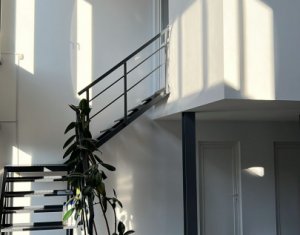 Industrial space for rent in Floresti