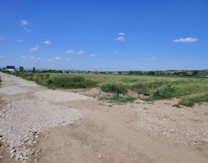 , 10000m2 dans Jucu De Mijloc