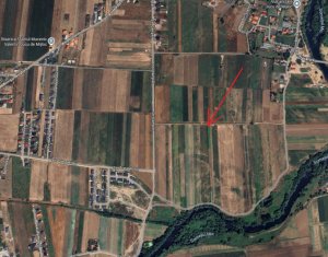 Terrain à vendre dans Jucu De Mijloc