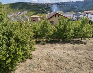 Casă individuală de vânzare în Dezmir, teren 741 mp