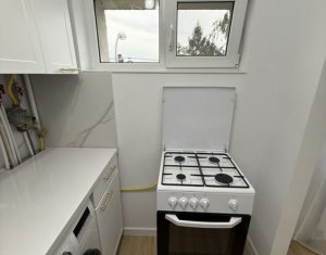 Appartement 1 chambres à louer dans Cluj-napoca, zone Gheorgheni