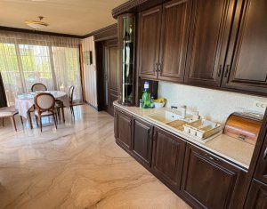 Vila superba in Andrei Muresanu, dotari de lux, piscina si SPA, 865 mp teren !