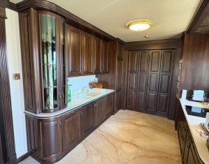 Vila superba in Andrei Muresanu, dotari de lux, piscina si SPA, 865 mp teren !