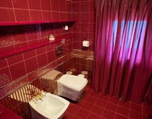 Vila superba in Andrei Muresanu, dotari de lux, piscina si SPA, 865 mp teren !