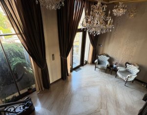 Vila superba in Andrei Muresanu, dotari de lux, piscina si SPA, 865 mp teren !