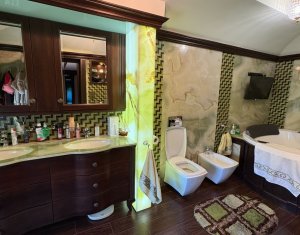 Vila superba in Andrei Muresanu, dotari de lux, piscina si SPA, 865 mp teren !