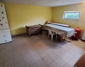 Spatiu de inchiriat la demisol in Andrei Muresanu