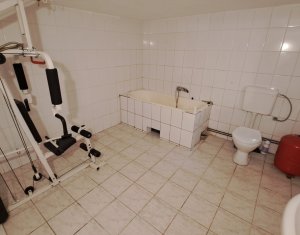 Spatiu de inchiriat la demisol in Andrei Muresanu
