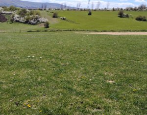 Terrain à vendre dans Ciurila