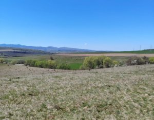 Teren extravilan in Ciurila