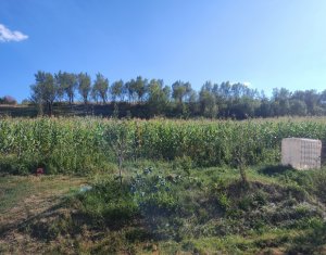 , 2976m2 dans Taga
