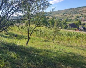 Terrain à vendre dans Taga