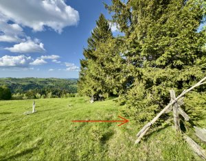 , 435m2 dans Marisel