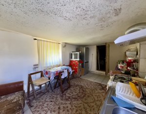 Maison 4 chambres à vendre dans Feleacu