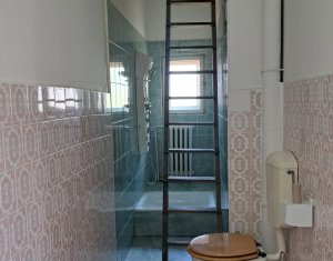 Espace Commercial à louer dans Cluj-napoca, zone Andrei Muresanu