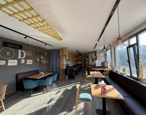 Espace Commercial à louer, 320m2 dans Cluj-napoca, zone Centru
