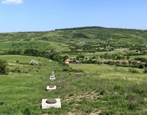 Teren intravilan Borhanci 