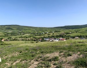 Teren intravilan Borhanci 