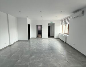 Industrial space for rent in Cluj-napoca, zone Iris