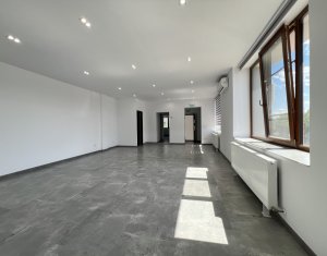 Industrial space for rent in Cluj-napoca, zone Iris