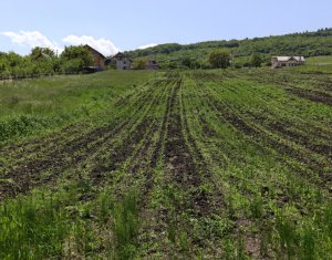 , 2900m2 dans Valcele