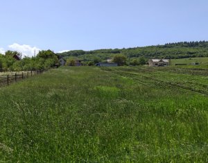 Terrain à vendre dans Valcele