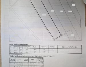 Terrain à vendre dans Chinteni