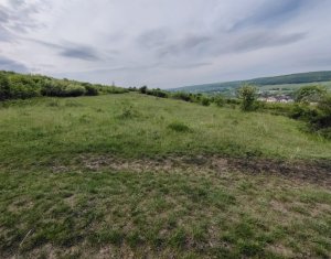 Terrain à vendre dans Chinteni