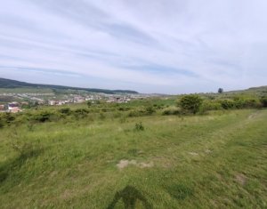 Terrain à vendre dans Chinteni