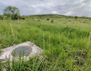 Terrain à vendre dans Chinteni