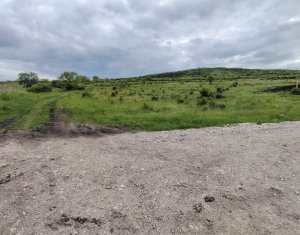 Terrain à vendre dans Chinteni