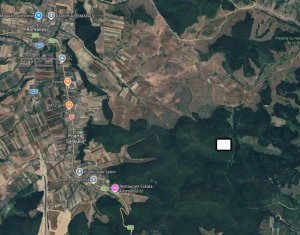Padure cer, gorun, stejar 3,5 hectare,  5km de loc. Romanasi, jud. Salaj