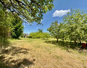 Terrain à vendre dans Cluj-napoca, zone Borhanci
