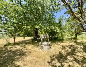 Terrain à vendre dans Cluj-napoca, zone Borhanci