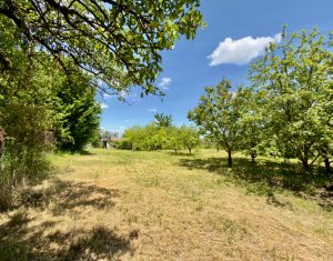 Terrain à vendre dans Cluj-napoca, zone Borhanci