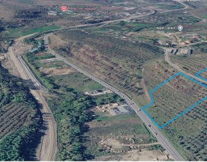 , 11600m2 in Baciu