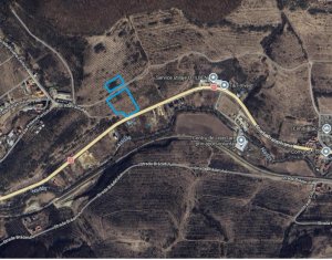 Teren intravilan 11.600mp iesire Baciu DN 1F / E81