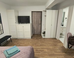 Apartament cu o cameră în vilă, lângă Parcul Central, Grigorescu