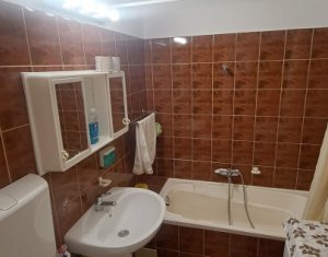 Appartement 2 chambres à louer dans Cluj-napoca, zone Grigorescu