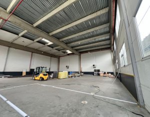 Espace Industriel à louer dans Cluj-napoca, zone Someseni