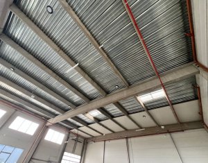 Espace Industriel à louer dans Cluj-napoca, zone Someseni