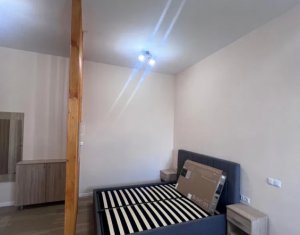 Appartement 1 chambres à louer dans Cluj-napoca
