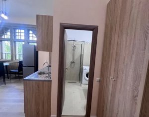 Appartement 1 chambres à louer dans Cluj-napoca