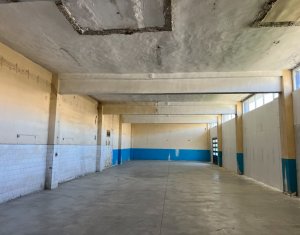 Espace Industriel à louer dans Cluj-napoca, zone Iris