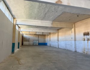 Espace Industriel à louer dans Cluj-napoca, zone Iris