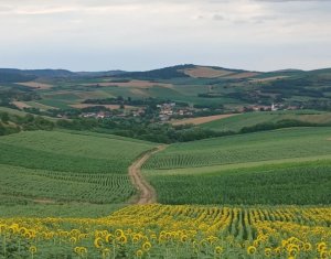 , 42m2 dans Camarasu