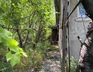 Casa renovabila, 3 camere, 146 mp utili, 770 mp teren, zona Andrei Muresanu 