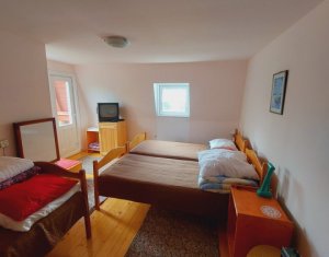 Maison 3 chambres à vendre dans Belis, zone Centru