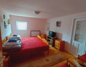 Maison 3 chambres à vendre dans Belis, zone Centru