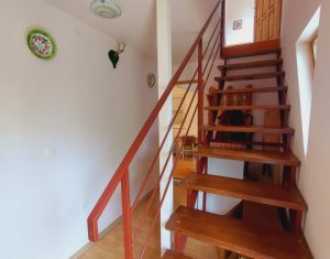 Maison 3 chambres à vendre dans Belis, zone Centru